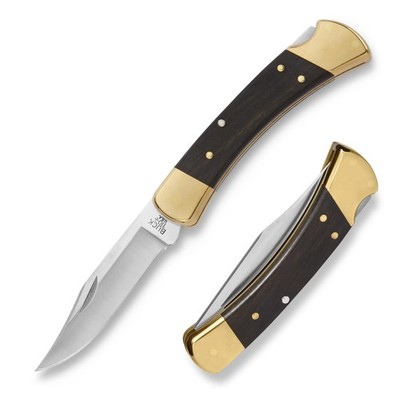 Buck 110 Folding Hunter knife